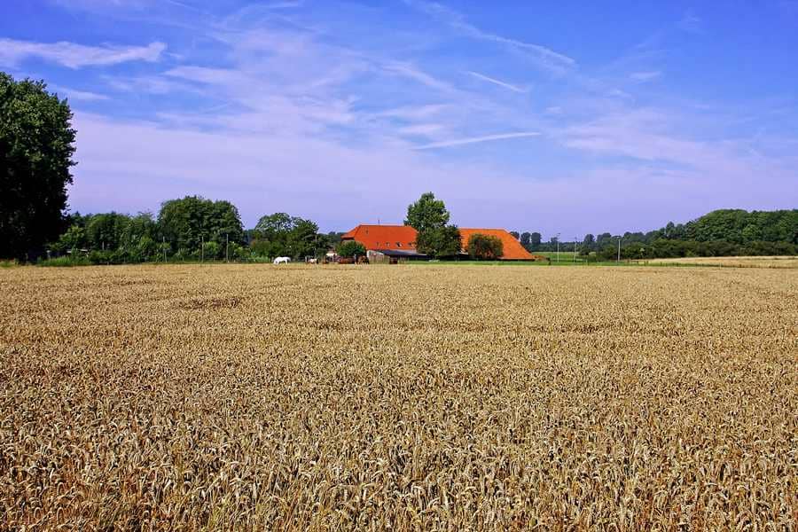 Hoferbfolge